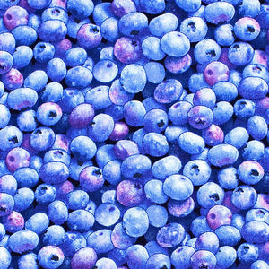 Blueberry Pattern