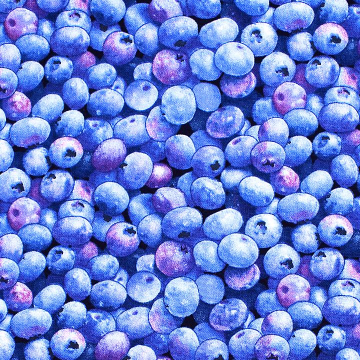 Blueberry Pattern