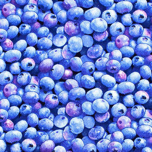 Blueberry Pattern