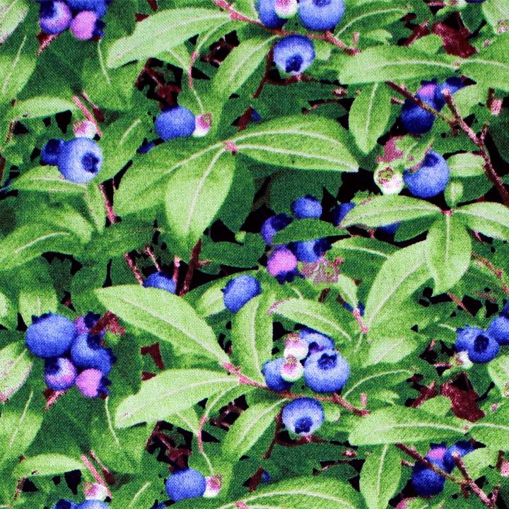 Blueberry Plant Pattern